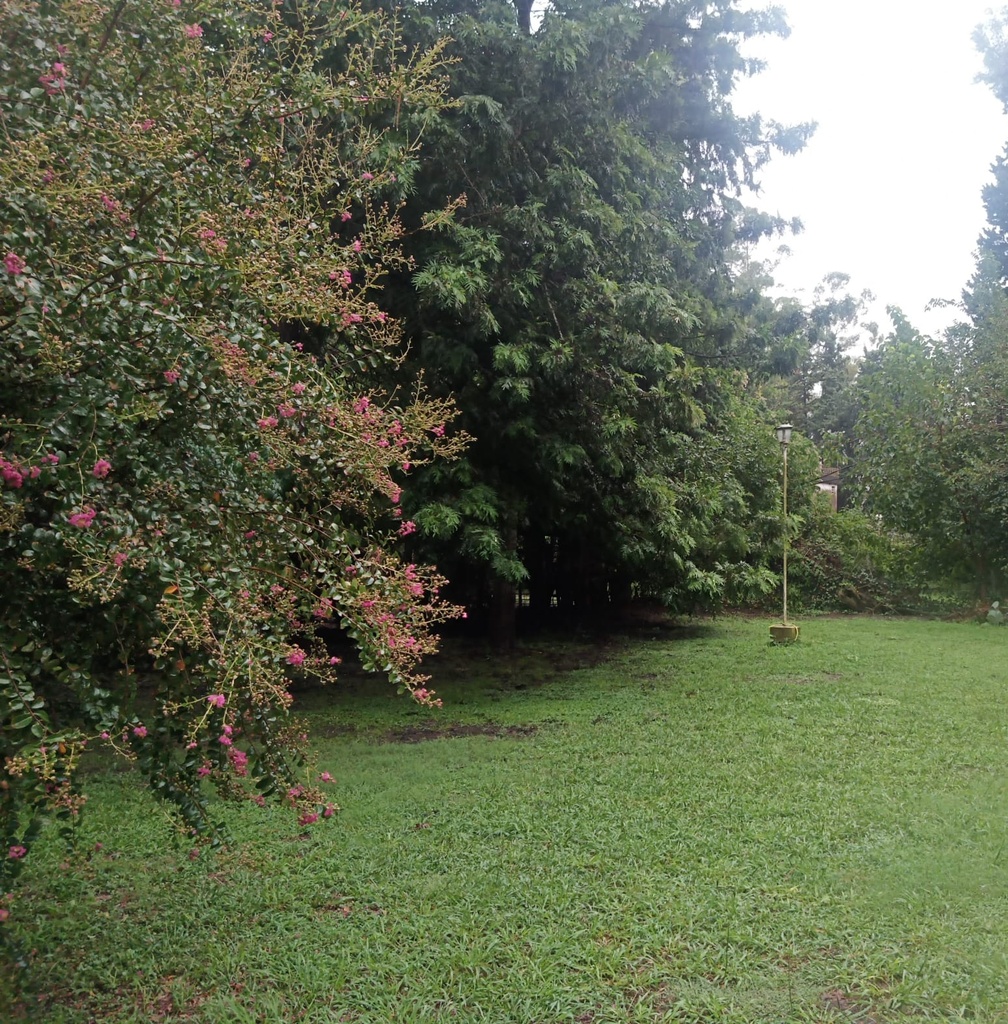 ✅ VENTA TERRENO CON PILETA ZONA LAS ACACIAS!! 