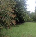 ✅ VENTA TERRENO CON PILETA ZONA LAS ACACIAS!! 