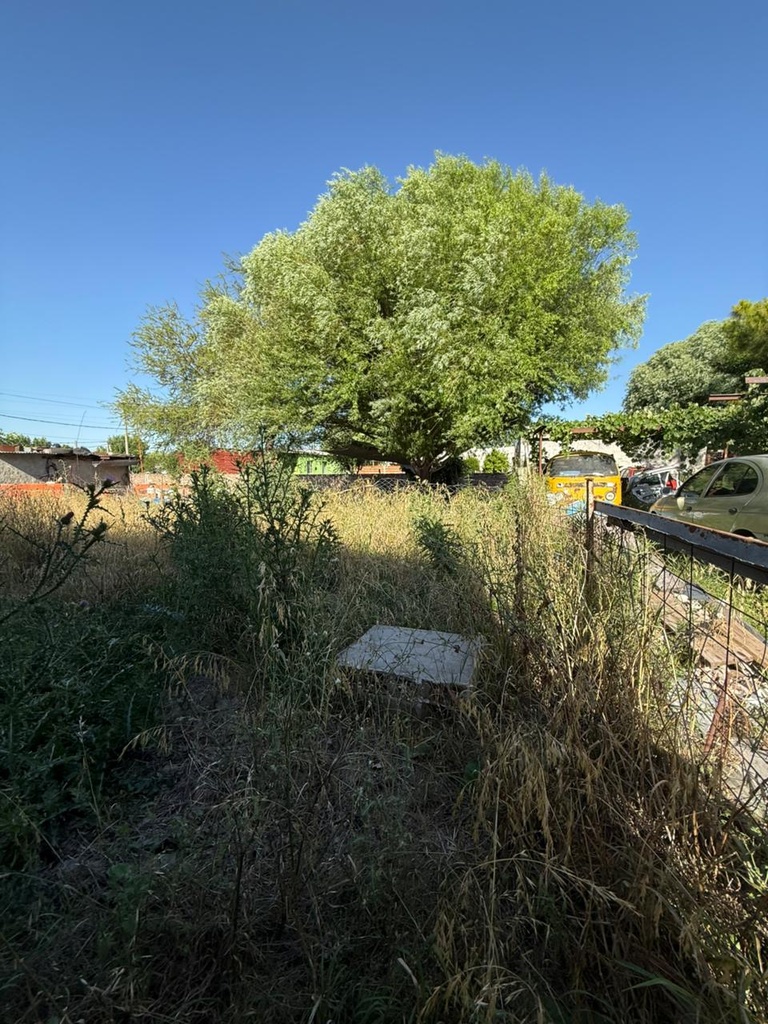 ✅ALQUILER LOCAL COMERCIAL CON PATIO COLONIA AVELLANEDA  